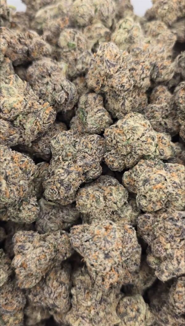 MOCHI WATERMELON  EXOTIC INDOORS | SUPER CANDY NOSE 100% WHITE ASH  P 1400