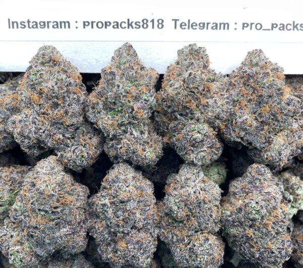 Black Cherry GusherSs 🍒 #V510A 🍇 (indoor) Nose: 9/10