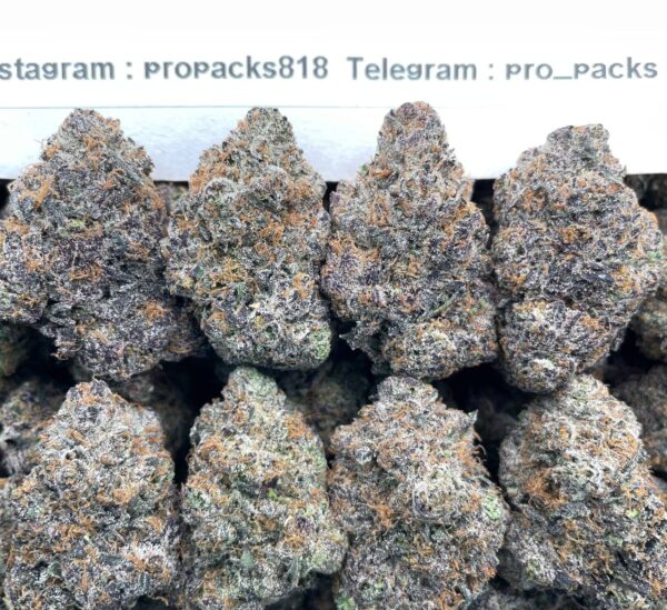 Black Lime Reserve x Golden Lemons 🍋 #H362A 🏆 (indoor)