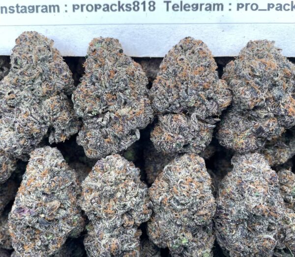Blue Raspberry TruffleZz 🍓 #V504B 🫐 (indoor)