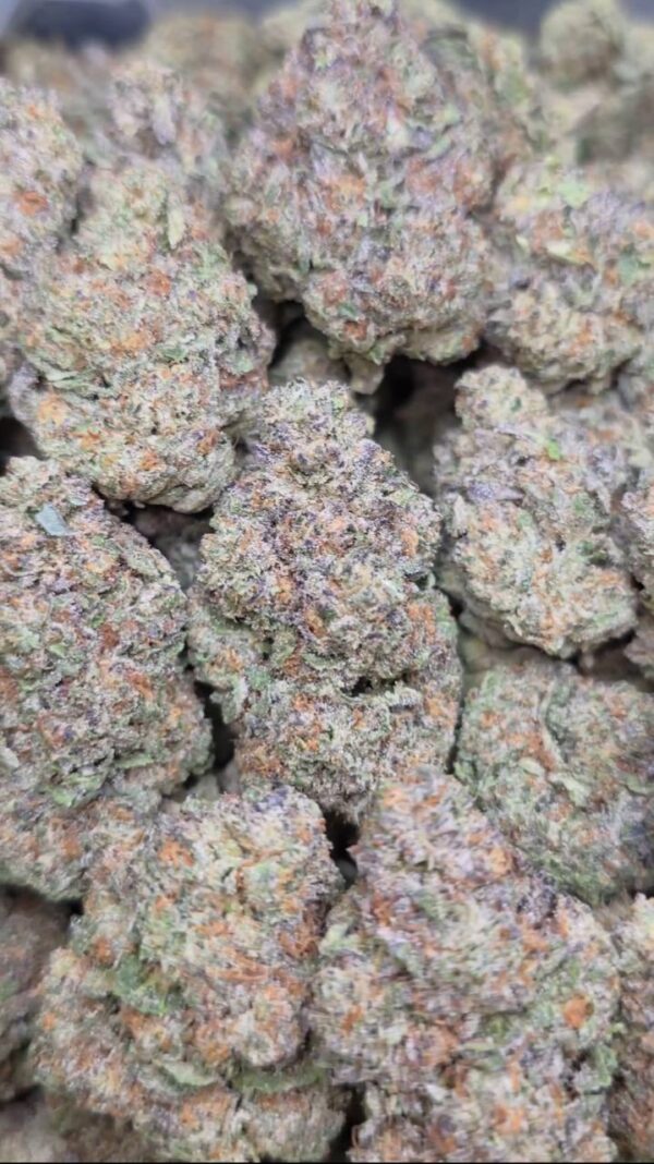 CHERRY DONUTS  TOPSHELF INDOORS | GASSY CANDY  850
