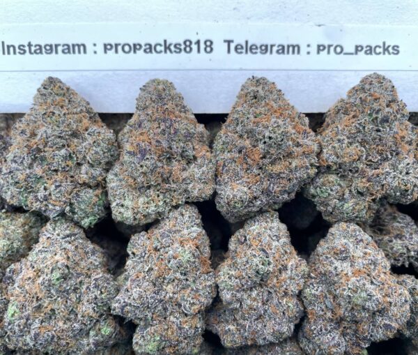 Critical Candy 🎉 #H328A 🍭 (indoor)