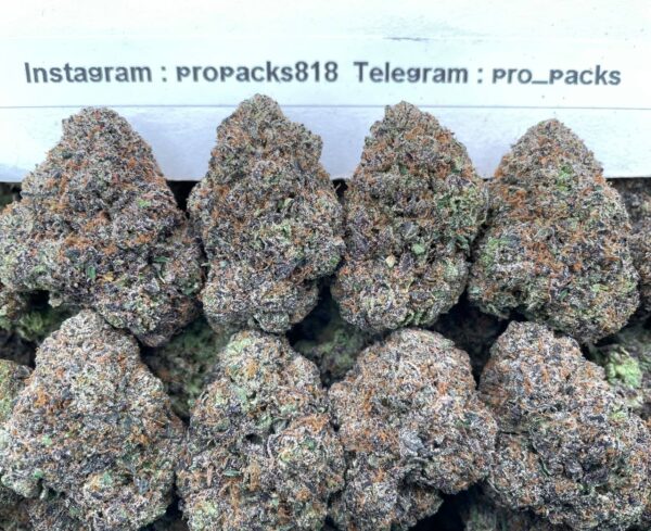 Frosted Gelato x Watermelon Zkittlez 🍉 #V558A 🍬 (indoor)