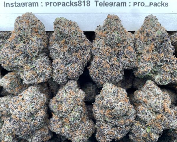 Frozen Fuel 🥶 #H61A ⛽️ (indoor)