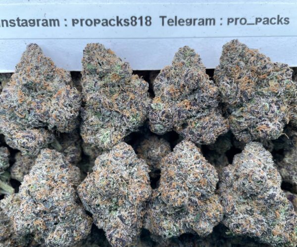 Gumbo PopZz ⚡️ #P455C ✨ (indoor)