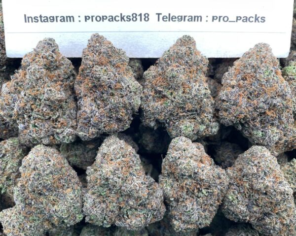 High Octane Gelato ⛽️ #V47C 🍨 (indoor)
