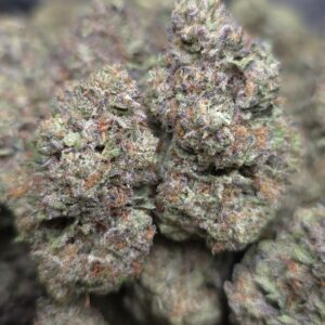 ICE CREAM PIE  INDOORS | CANDY NOSE
