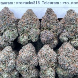 Blackberry MochiZz