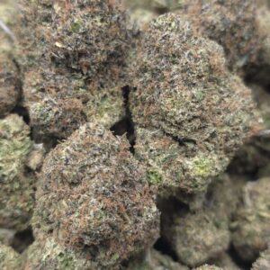 PINK TRUFFLES SMALLS  EXOTIC INDOORS | SUPER CANDY