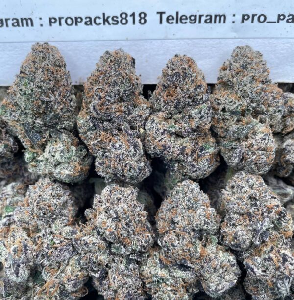 Blackberry GelatoZz 🍬 #P498B 🔷 (indoor)(organic)