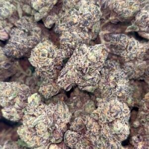 RAINBOW ZANGRIA  EXOTIC INDOORS | SUPER CANDY NOSE | 100% WHITE ASH  1150