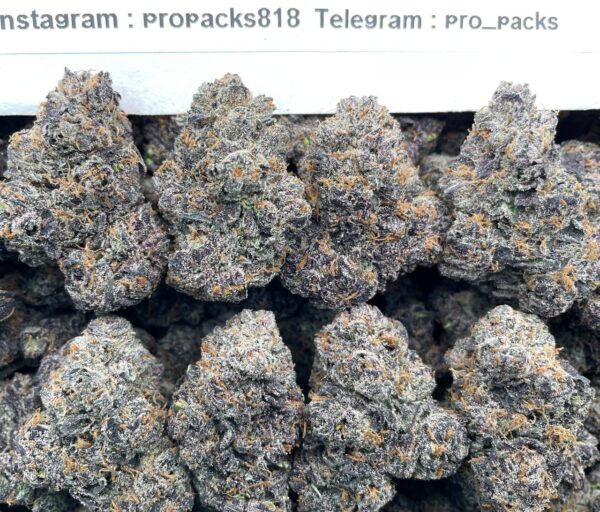Sour Bubble Gum x Purple Punch 🍬 #P96A 💥 (indoor)