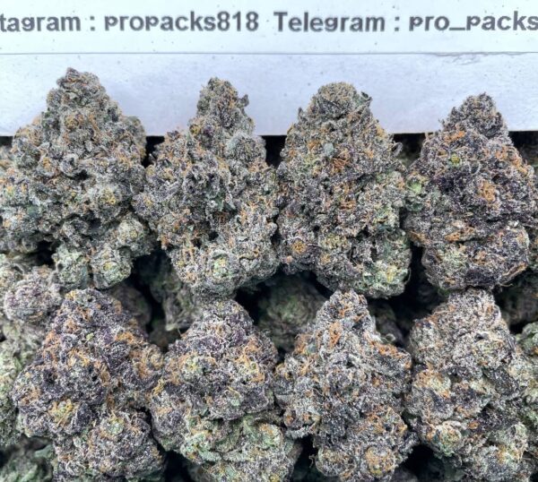 Sour Gumbo PopZz 😮‍💨 #P474A 🤪 (indoor)