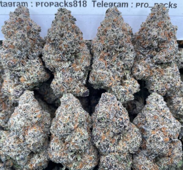 Sticky Ricky 💥 #V563C ⚡️ (indoor)
