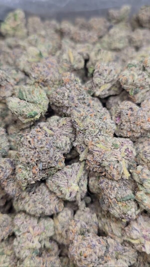 UNCLE SNOOP MD EXOTIC INDOORS | SUPER CANDY NOSE | 100% WHITE ASH  950