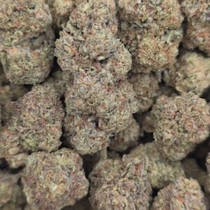 WHITE BISCOTTI  INDOORS | GASSY CANDY  575
