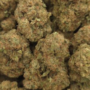 WHITE CHERRY GELATO  INDOORS | GASSY CANDY  675
