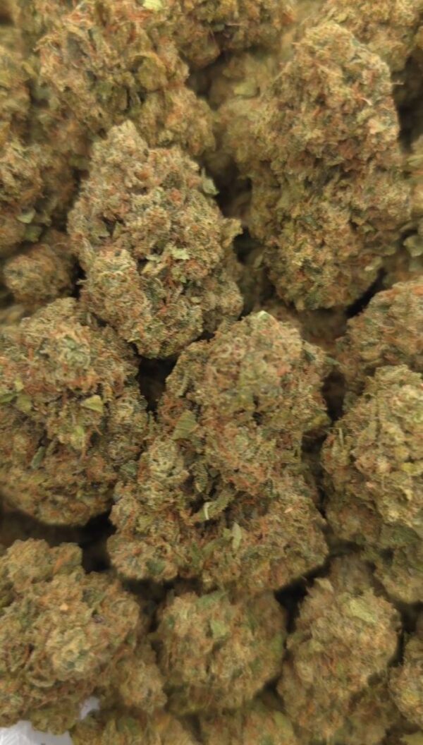 WHITE CHERRY GELATO  INDOORS | GASSY CANDY  675